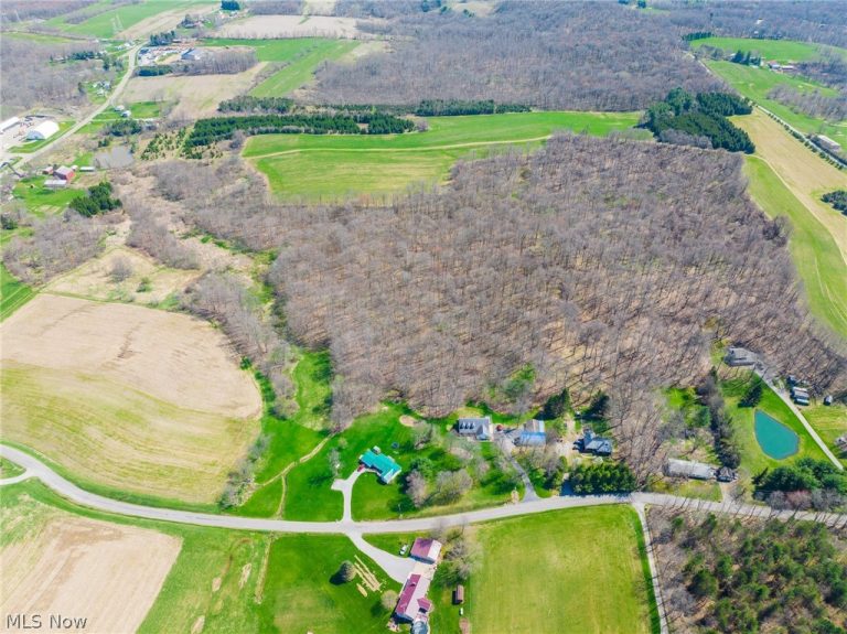 9050 Freeman Road, Lisbon, OH - Photo 5
