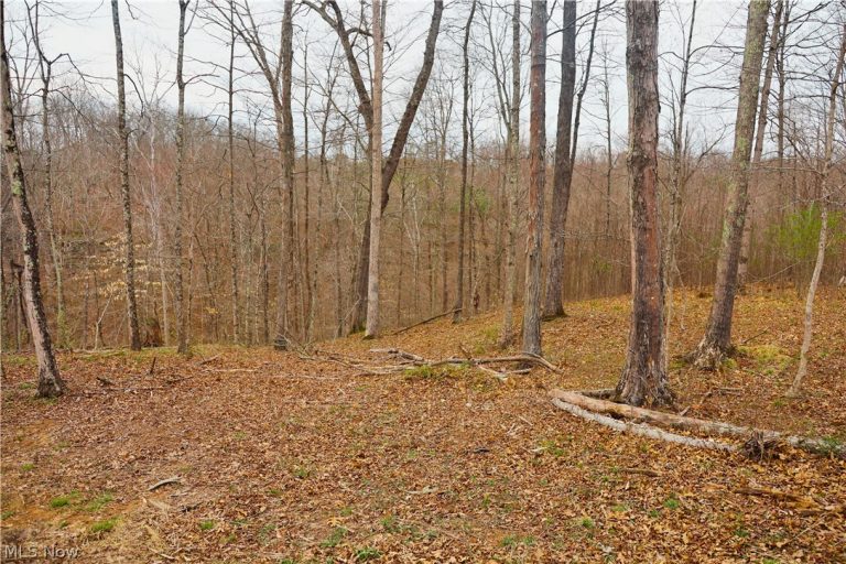 Brimstone Road, Coolville, OH - Photo 6