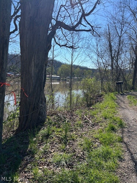 Old River Road, Philo, OH - Photo 2