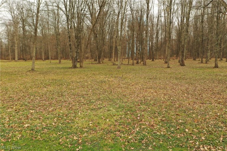 535 Bell, Columbiana, OH - Photo 2