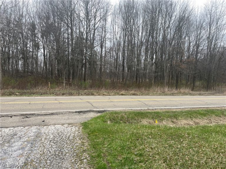 744 Carson Salt Springs Road, Mineral Ridge, OH - Photo 4