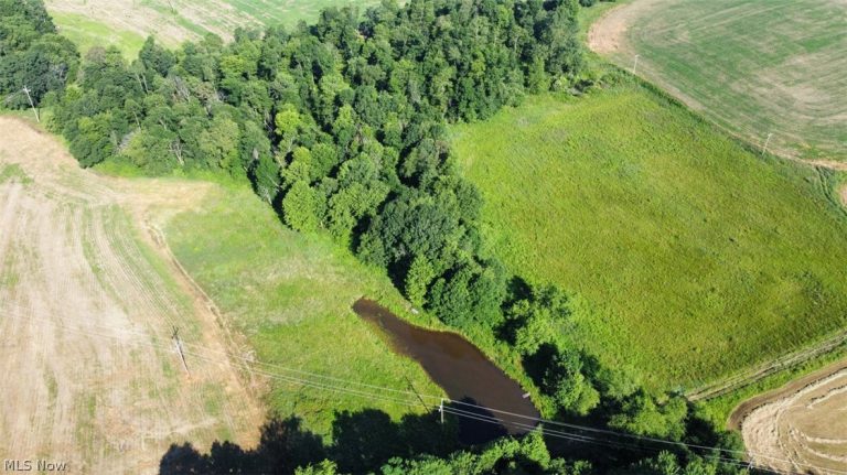 15150 Smith Road, Wellsville, OH - Photo 6