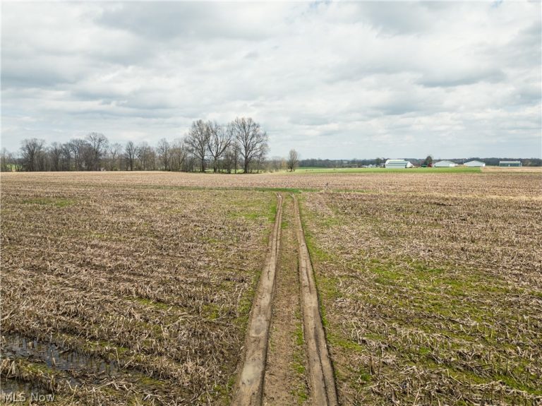 Steiner Road, Creston, OH - Photo 5