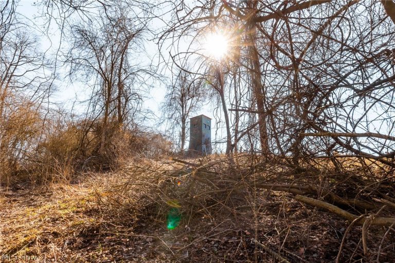 2535 Millersburg Road, Wooster, OH - Photo 3