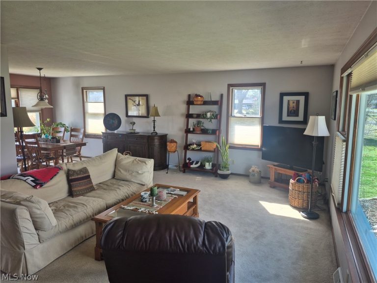 707 Lincoln Street, Amherst, OH - Photo 6