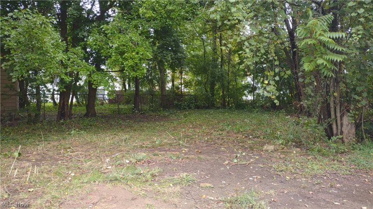 605 East Avenue, Akron, OH, 44320