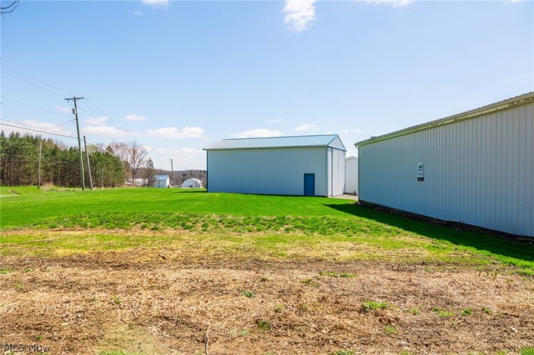 9050 Freeman Road, Lisbon, OH - Photo 6