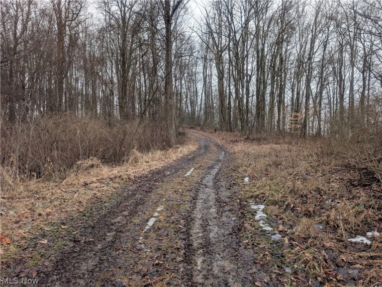 Tract 9 Township RD 272, Lewisville, OH - Photo 8