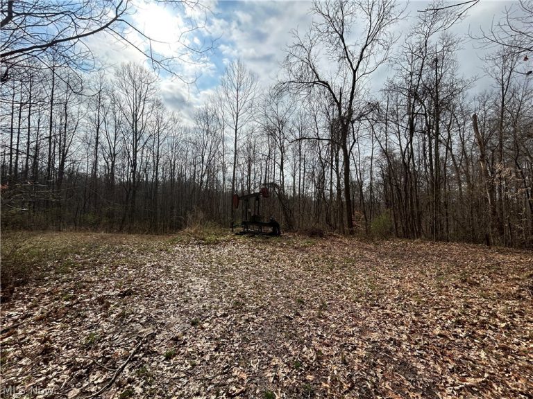 Wilbur Bush Road, Crooksville, OH - Photo 5