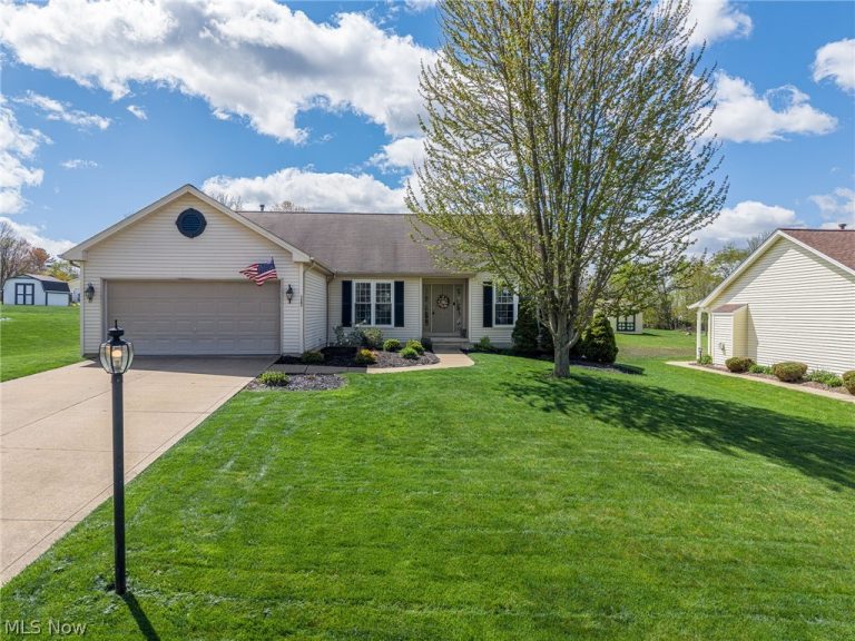 7287 Meadowhaven Drive, Chippewa Lake, OH, 44215
