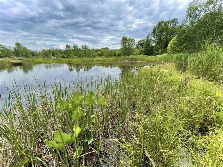 100 Cottage Grove Drive, Youngstown, OH - Photo 4