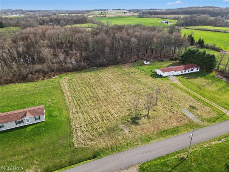 24865 Center Avenue, Alliance, OH - Photo 3