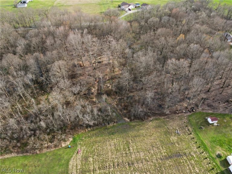 24865 Center Avenue, Alliance, OH - Photo 4