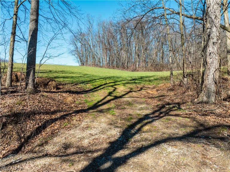 Burrier Road, Jewett, OH - Photo 4