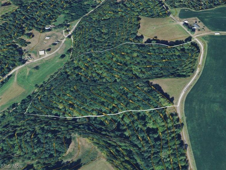 Union Hill Road, Blue Rock, OH - Photo 2