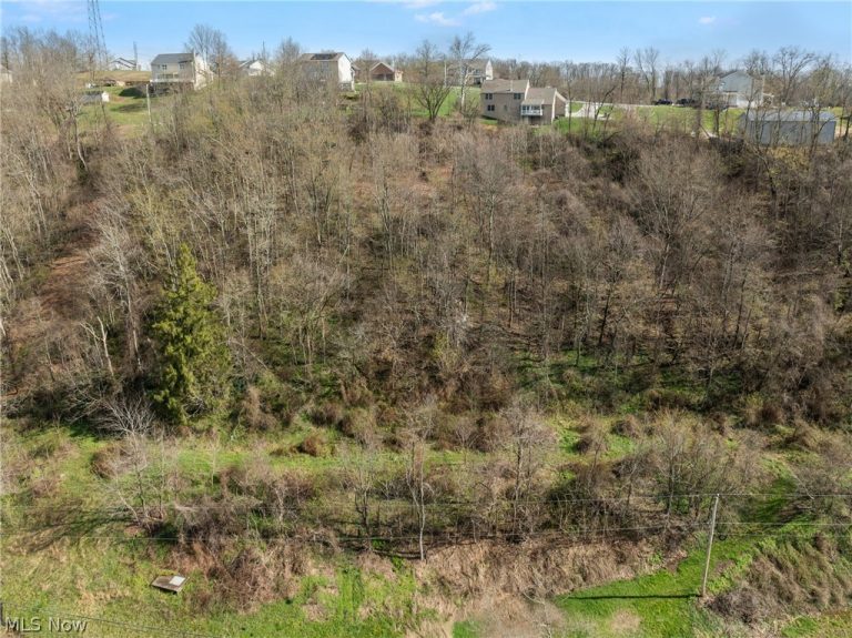 Big Way, Shadyside, OH - Photo 8