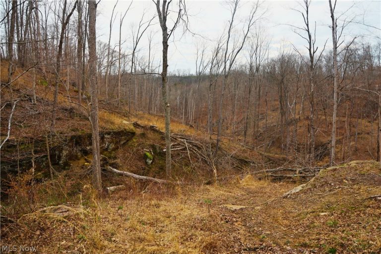 Brimstone Road, Coolville, OH - Photo 2
