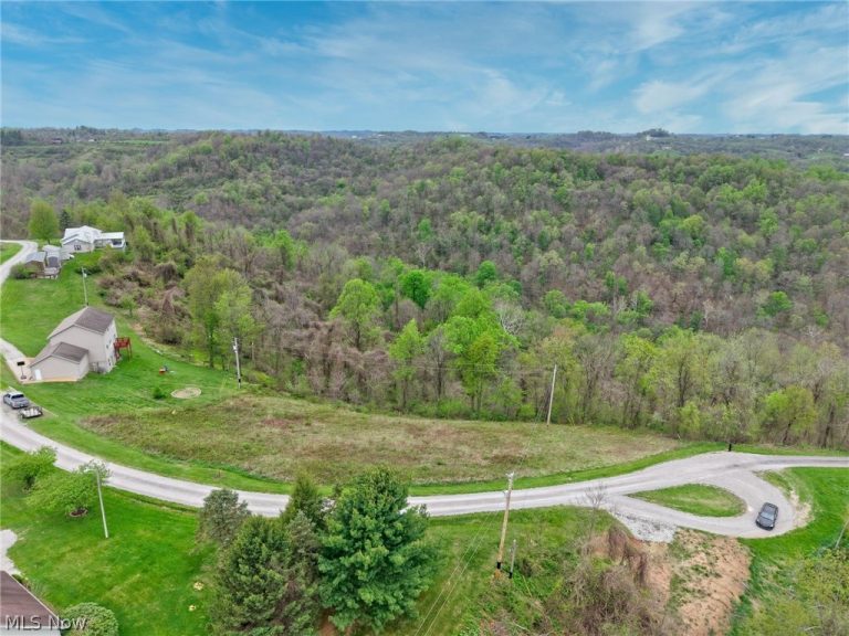Country Boulevard Lot 7, Clarington, OH - Photo 4