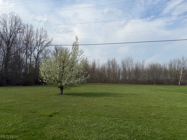 VL Cooley Road, Columbia Station, OH - Photo 4