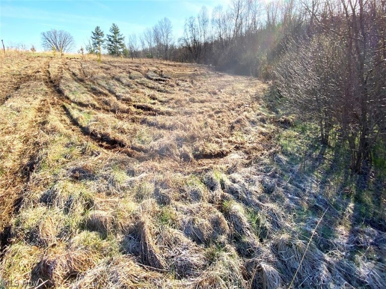 Twp Rd 318 Road, Dexter City, OH - Photo 4