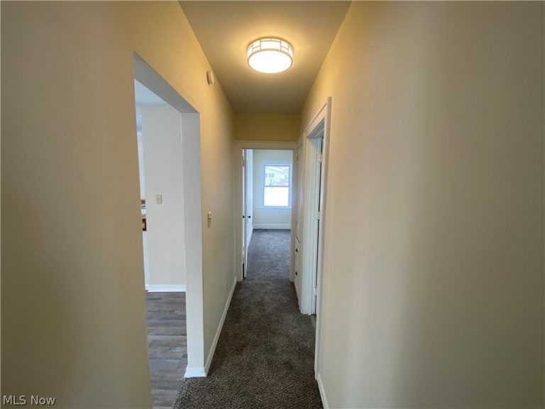 8221 Grand Division Avenue, Cleveland, OH - Photo 6