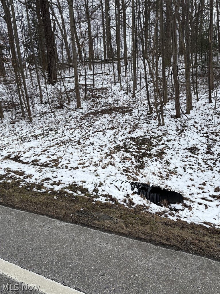 Oh-93, Dundee, OH - Photo 3