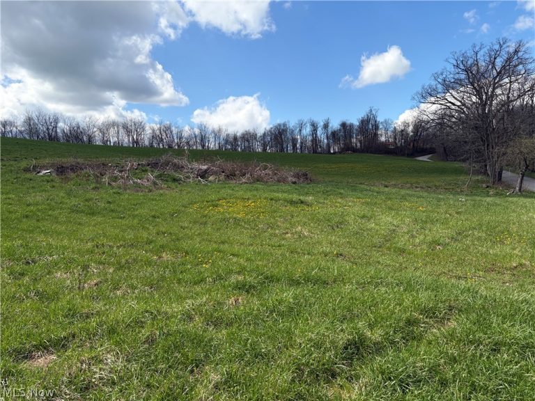 Township Road 177, Baltic, OH - Photo 2