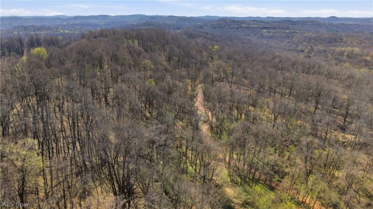 Logston Run Road, Ravenswood, WV - Photo 8