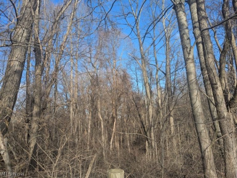Township Road 215, New Lexington, OH, 43764