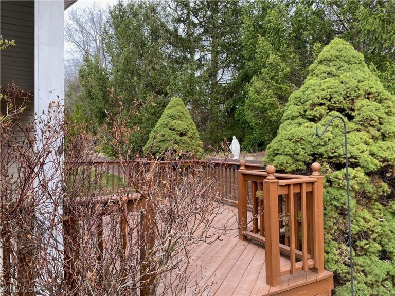 7263 Baldwin Reserve Drive, Middleburg Heights, OH - Photo 5