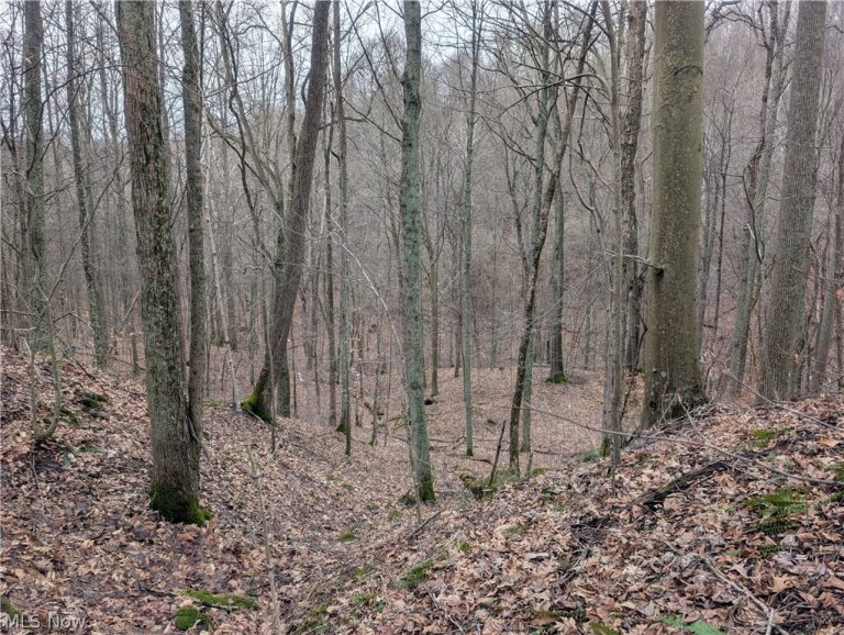 Tract 7 Edwina Road, Woodsfield, OH - Photo 6
