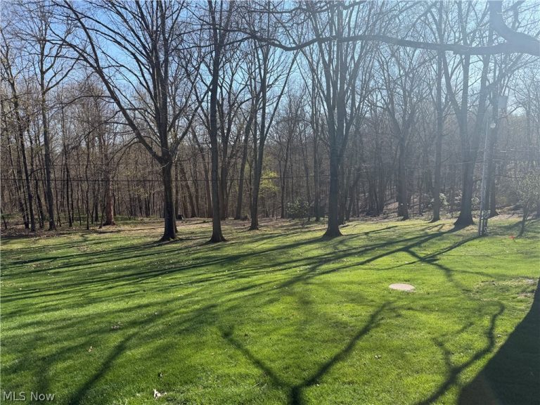 1135 Forsyth Place, East Liverpool, OH - Photo 4