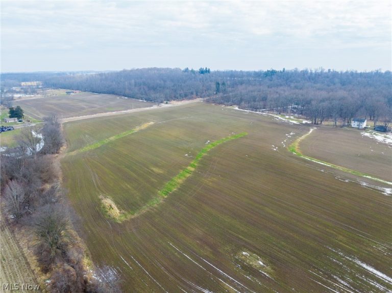 7389 Doylestown Road, Sterling, OH - Photo 4