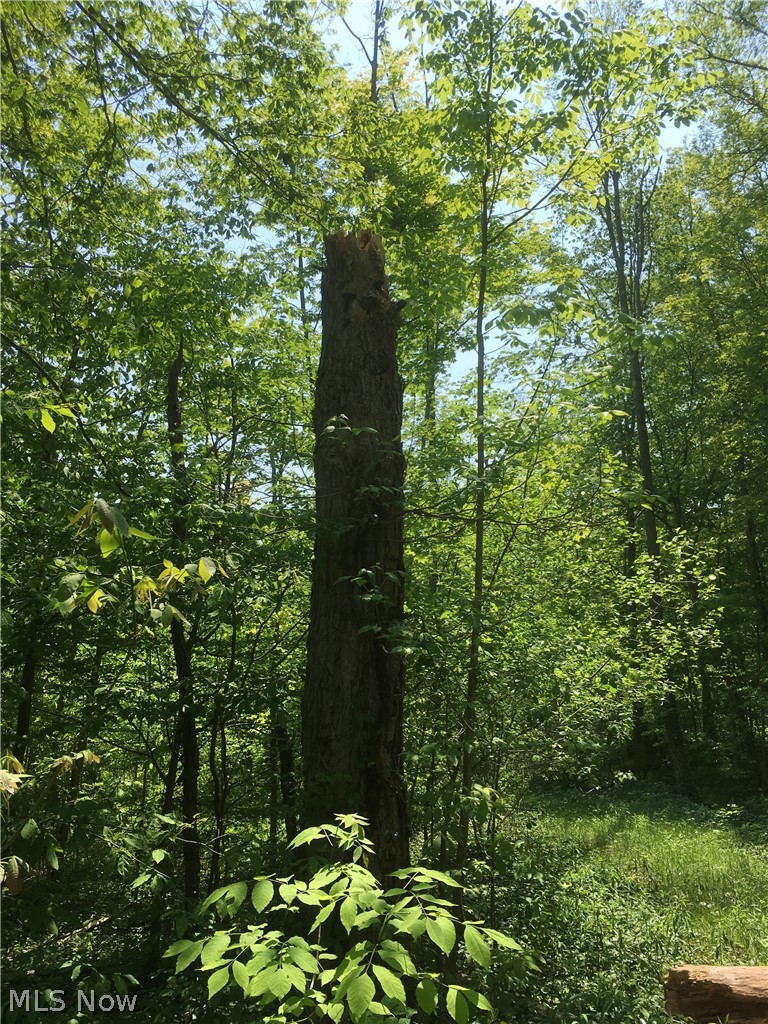 Fowlers Mill Road, Chardon, OH - Photo 3