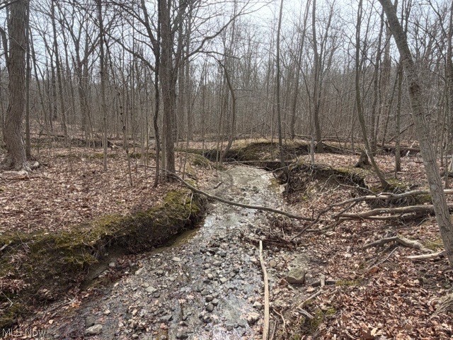 Madison Road, Madison, OH - Photo 8