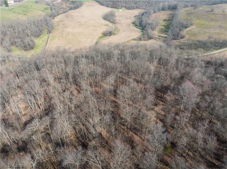 Coal Road, Fresno, OH - Photo 2