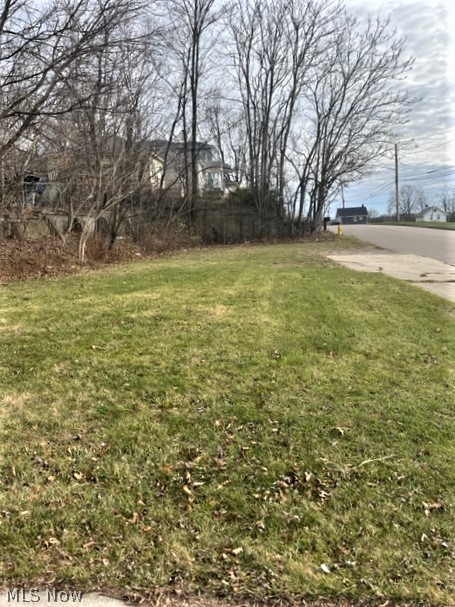 303 State Street, Barberton, OH - Photo 4