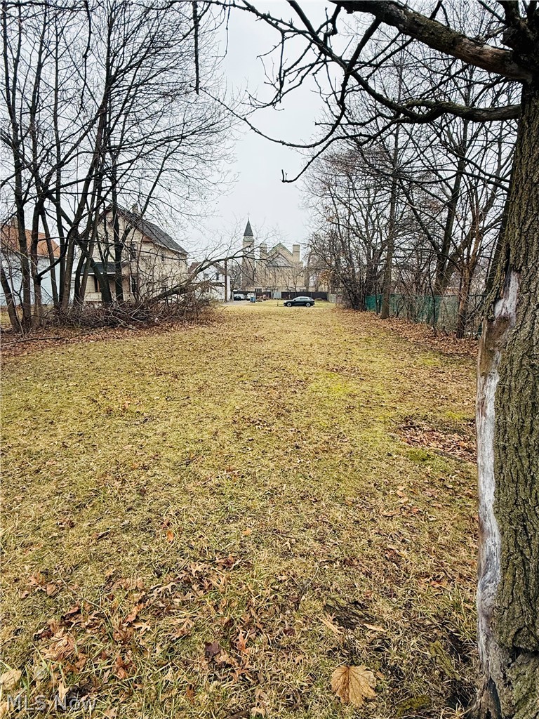 Apple Avenue, Lorain, OH - Photo 2