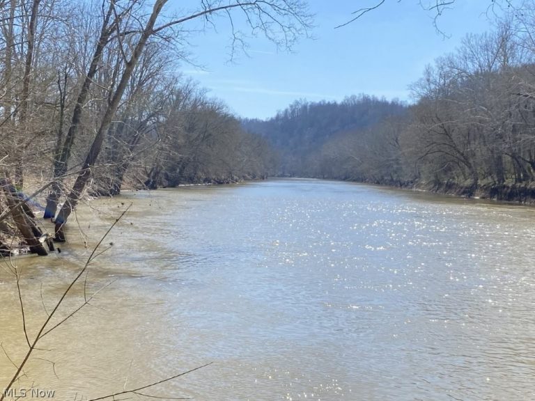 988 Young Lane, Elizabeth, WV - Photo 4