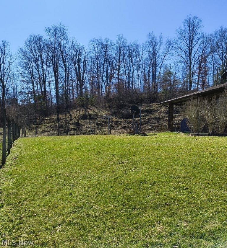 10174 Veto Road, Belpre, OH - Photo 8