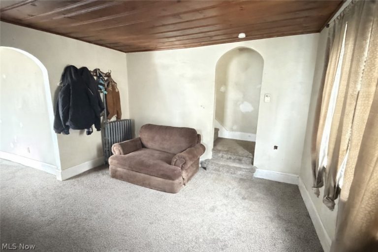 1333 Kellogg Avenue, Akron, OH - Photo 5