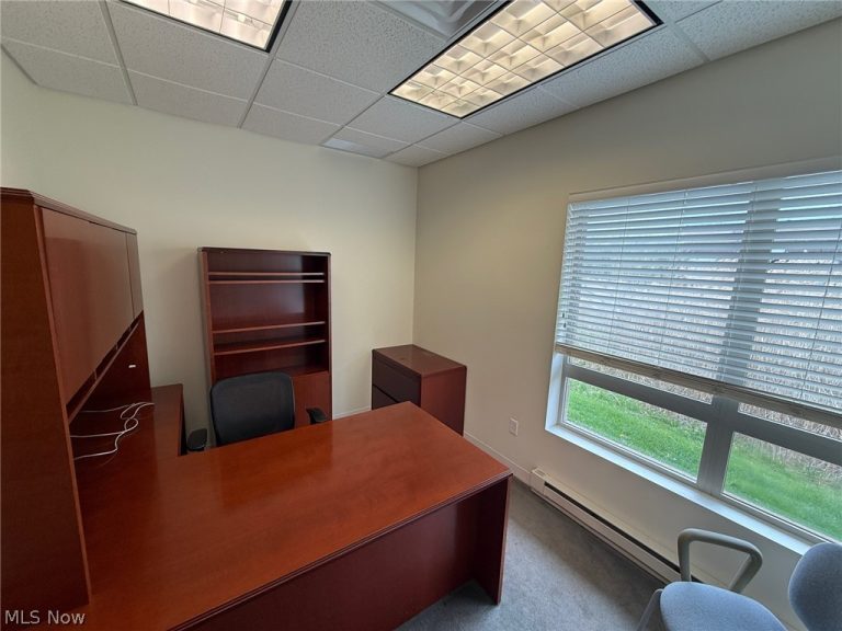 31320 Solon Road #19, Solon, OH - Photo 8