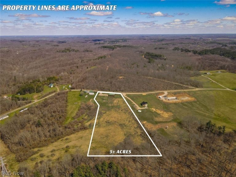 6880 Shaver Road, Blue Rock, OH - Photo 2