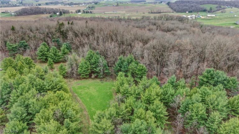 5742 Hilltop Drive, Strasburg, OH - Photo 5