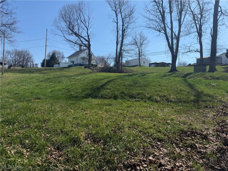 126 Oak Street, Barnesville, OH - Photo 8