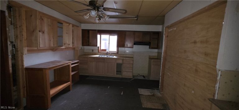 269 UNION Street, Mt Pleasant, OH - Photo 3