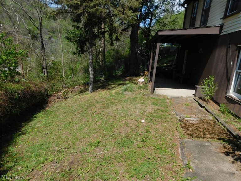 68250 Wrixon Road, Bridgeport, OH - Photo 5
