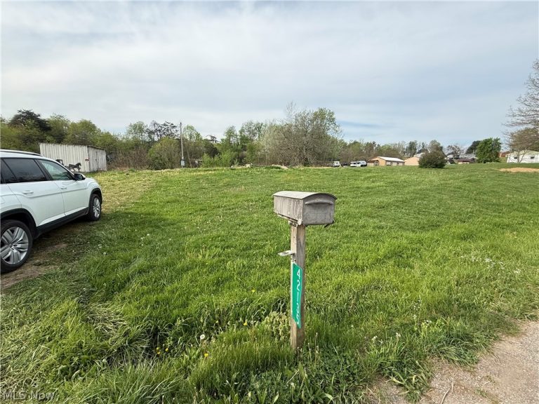 42135 Union Road, Sardis, OH - Photo 2