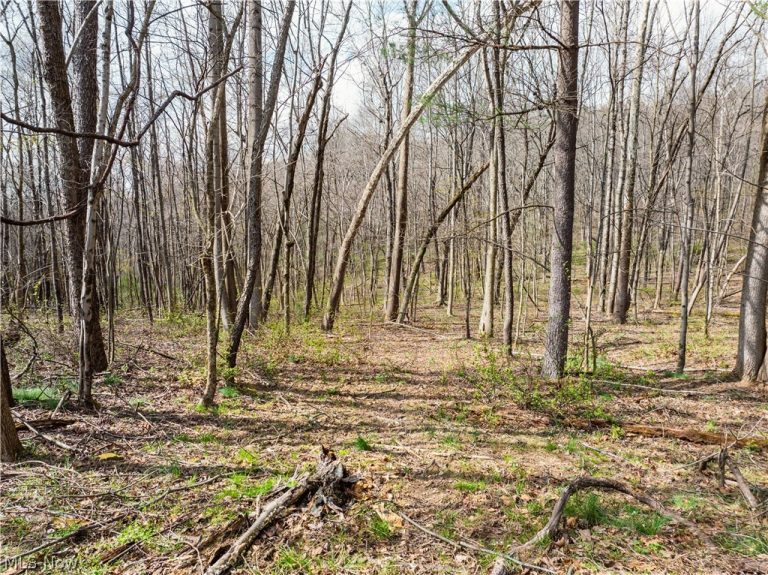 Township Rd 389, Frazeysburg, OH - Photo 4