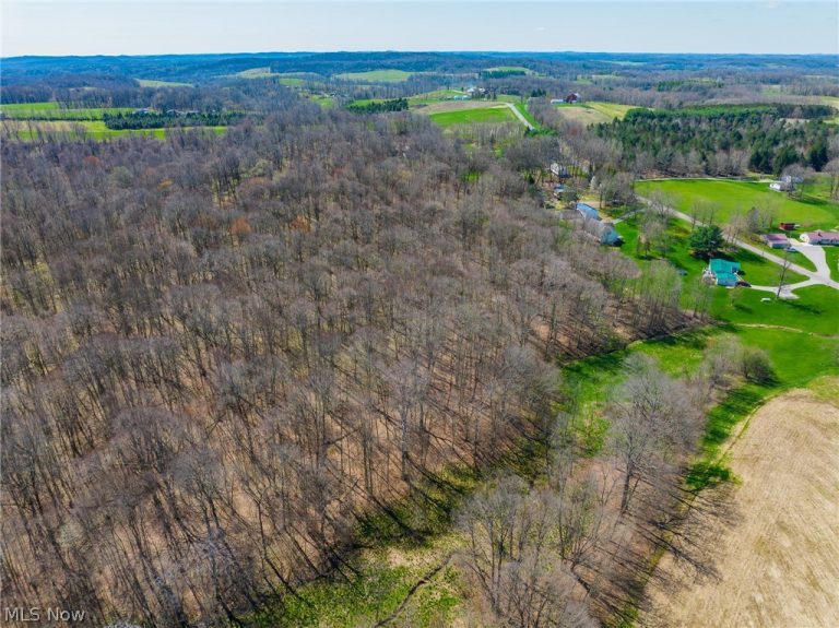 9050 Freeman Road, Lisbon, OH - Photo 2